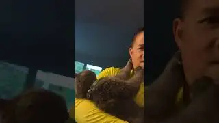 Cat is giving a facial massage
