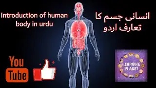 Human body system in urdu/hindi#Cell #tissue #organ #muscles #respiratory system #circulatory system