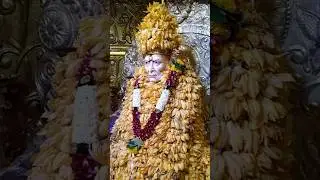 स्वामी #swamikripa #krupamaulinchi #hinduguru #swamisamarth #shortvideo