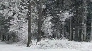 SEULE &Agrave; LA MONTAGNE 🏔️CONDUIRE SUR UNE ROUTE ENNEIG&Eacute;E ❄️