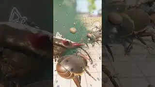 Grounded O.R.C Bugs Are Overpowered.... #bossfight