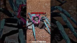 Super spider 🕷️💀 #trollface #edit #troll #short