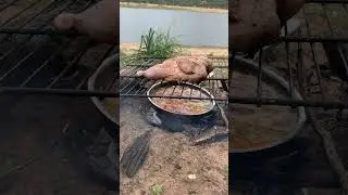Lakefront Chicken Roast &ndash; Cooking in Nature&rsquo;s Serenity #food #campping #chiken #cooking #لايك
