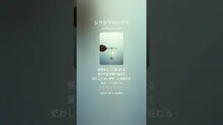 シラタマホシクサ(clip) #music
