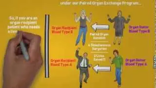 Organ Wiser Kidney/Liver Swap Paired Donation Exchange
