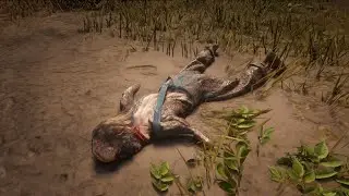 Read dead redemption 2 - withered arm location