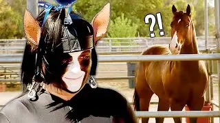 This Woman May Love Horses A Bit Too Much