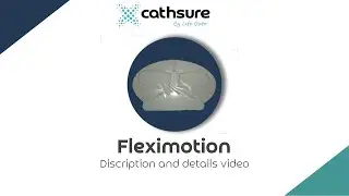 Fleximotion by Cathsure