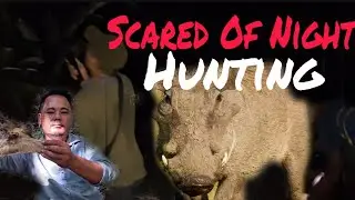 Scared At Night In Jungle/Night Adventure In Jungle/Northeast Indian