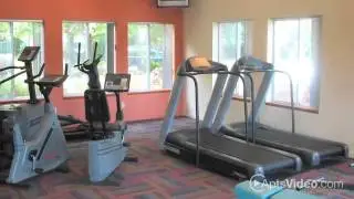 Big Creek Apartments in Parma Heights, OH - ForRent.com