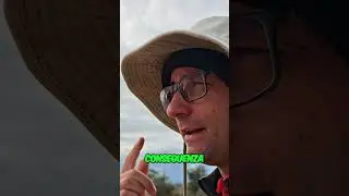 Opali Nascosti 💎​Scopri il Segreto degli Strumenti di Estrazione