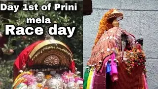Day 1st of Prini mela ( Day of race )💥💥#himachalpradesh #manali #prini