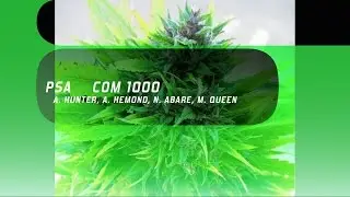 PSA: Marijuana Awareness
