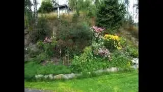 Blomsterbed i Gaustadveien 4