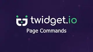 Page Commands - Twidget.io