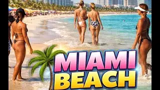 LIVE Miami Beach 🌴 Real-Time Ocean Views | Relaxing Walk & Beach Vibes