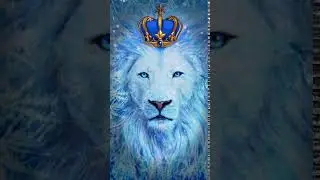 Galaxy Themes - [poly] lion, the king of winter