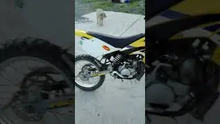 Beta rrt de serie