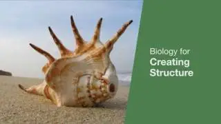 Synthetic Biology: New Tools for an Industry at an Inflection Point
