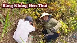 Sau 19 Ngày Chinh Phục Được Con RẮN Đầu Nhỏ Mình To # CSBR # 460