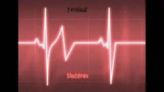 Terminal Shutdown - White Flag of Surrender