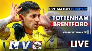 PRE-MATCH PUMP-UP &bull; Tottenham Vs Brentford @KateandJimbo @spurskingstv @SpursDiehardsTTID