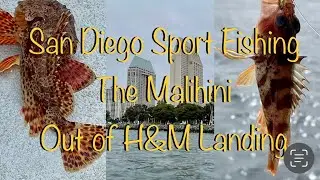 Malihini Sport Fishing Boat out of H&M Landing in San Diego, CA