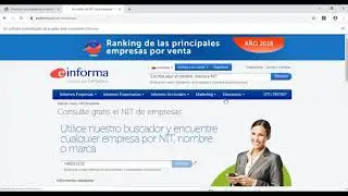 Bionikron - Consulta de estado de RUT