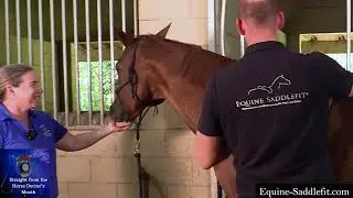 Equine Saddle Fit w Philip Guenther of Equine-SaddleFit