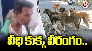 Street Dog Attacks Public on Road | Rangareddy | V6 News