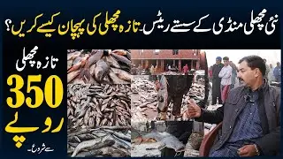 New Fish Market in Lahore Pakistan - Fish Wholesale Market - Fish Market Rates - Machli Mandi