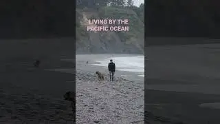 Living in Northern California 📸 Eureka Ca Realtor &reg;️ adventure the PNW