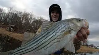 Short Afternoon Fishing Trip on Boone Lake