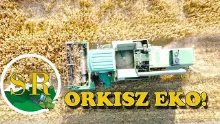 Zbiór orkiszu i oznaka nadchodzącej awarii kombajnu - wyleciała żaluzja sita i zatrzymała podajnik!