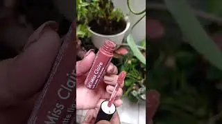 miss claire lip cream shade -58 #everyday lipstick#lipstick#makeup😚❤💄💄💄58