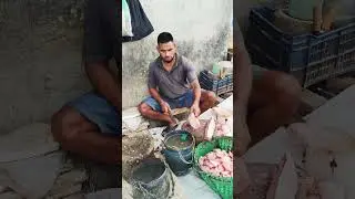 USA Fish Cutting #fish