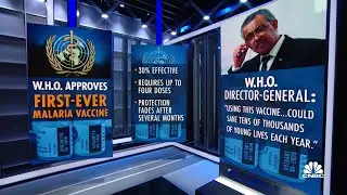 W.H.O. approves first-ever malaria vaccine