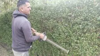 Hedge Trimmer Pruning Machine | Tree leaf cutting machine new technology