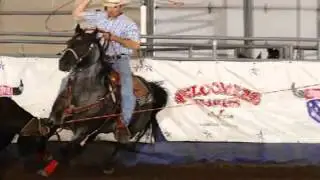 Harmonize Rodeo Ad