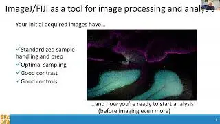 ABRF ABCD Session on Image Segmentation January 2026