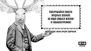 Новое оформление телеканала 2х2 [Осень, 2019 год]