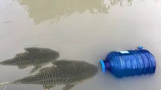 Amazing idea! Make Trap for fishing from water bottles/BroRin Official