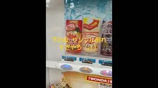 下の段‥サンプル倒れすぎやろ（汗）