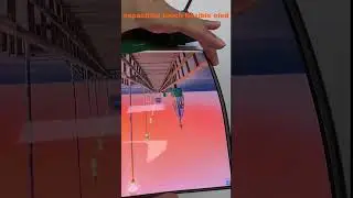 7.8 inch 1440x1920 flexible screen OLED display 300 brightness capacitive touch driver board display