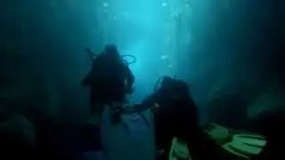 Xlendi Bay - Gozo - dive 9 - Ulysses Cave