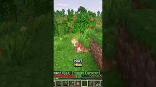 Got him! ❤️ Named him Carlos. 🐈#minecraft #cat #eepblah #letsplay