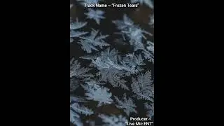Frozen Tears | Emotional Trap Instrumental | Live Mic ENT#music#artist#livemic