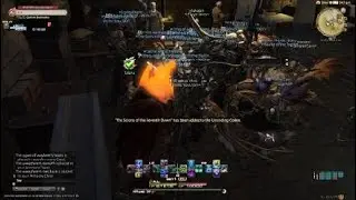 FINAL FANTASY XIV ENDWALKER MSQ: Newfound Adventure