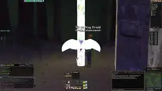 Dark Age Of Camelot in  2024 ? Eden Shard Test Hibernia #00