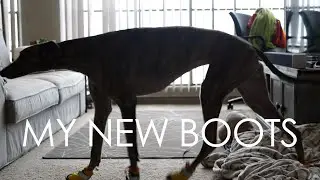 My New Boots